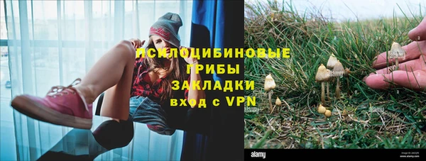 МДПВ Пролетарск