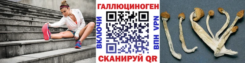 Псилоцибиновые грибы MAGIC MUSHROOMS  сколько стоит  Любань 